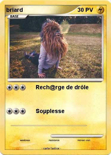 Pokemon briard