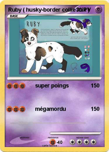 Pokemon Ruby ( husky-border collie mix )