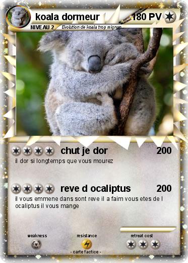 Pokemon koala dormeur