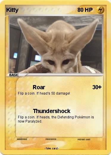 Pokemon Kitty