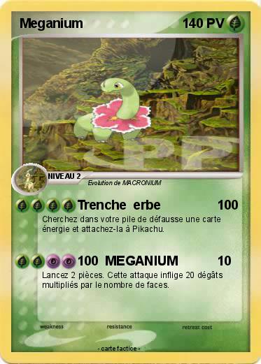 Pokemon Meganium