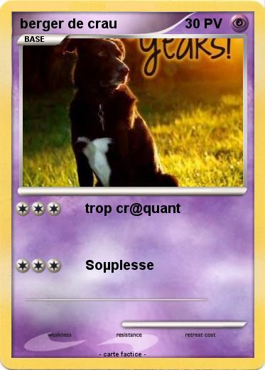 Pokemon berger de crau