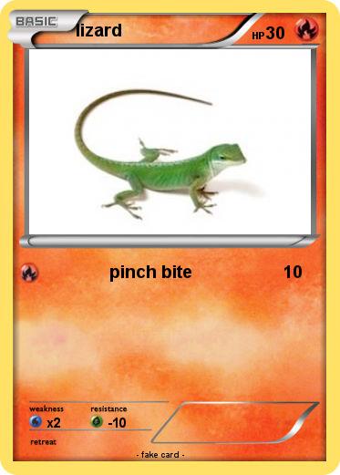 Pokemon lizard