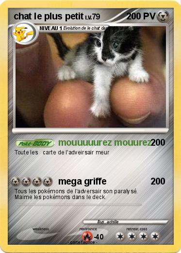 Pokemon chat le plus petit