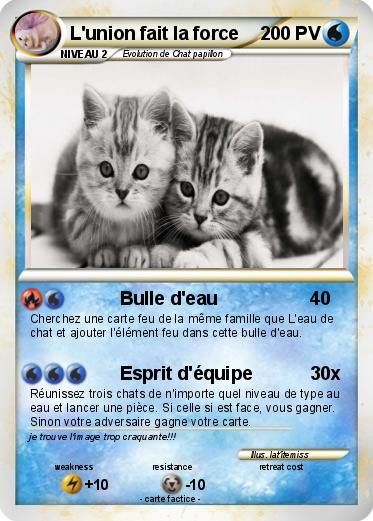Pokemon L'union fait la force