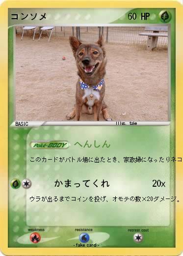 Pokemon コンソメ