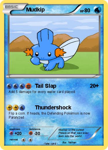 Pokemon Mudkip