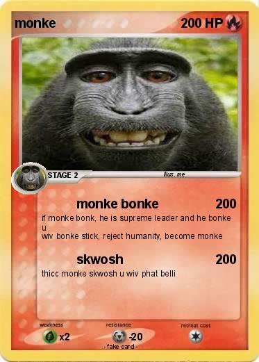 Pokemon monke
