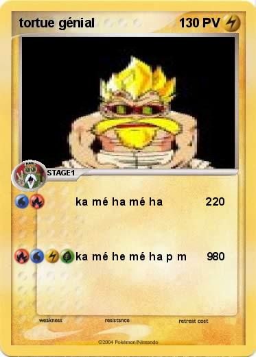 Pokemon tortue génial