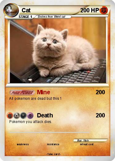 Pokemon Cat