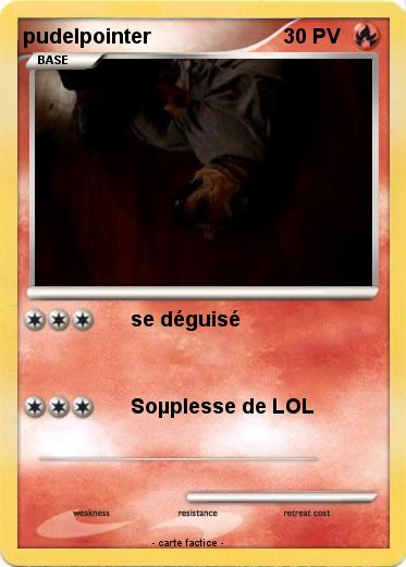 Pokemon pudelpointer