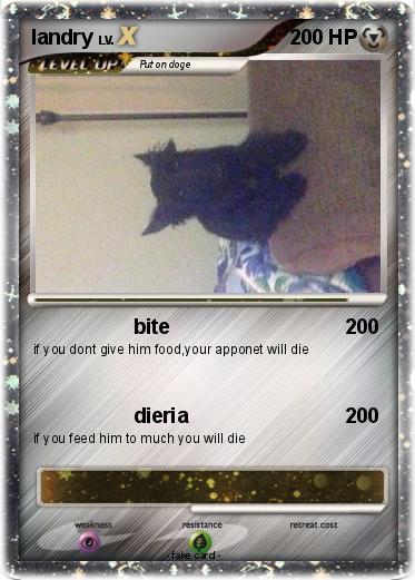 Pokemon landry