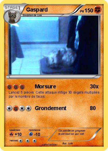 Pokemon Gaspard