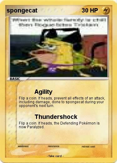 Pokemon spongecat