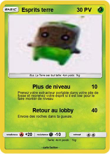 Pokemon Esprits terre