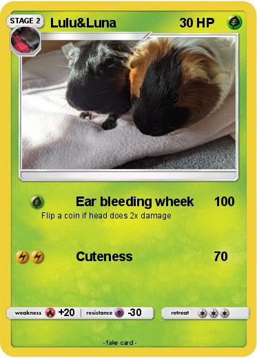 Pokemon Lulu&Luna