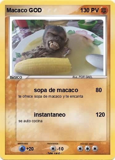 Pokemon Macaco GOD