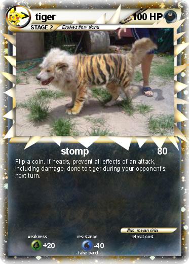 Pokemon tiger