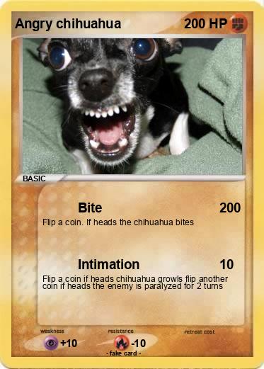 Pokemon Angry chihuahua