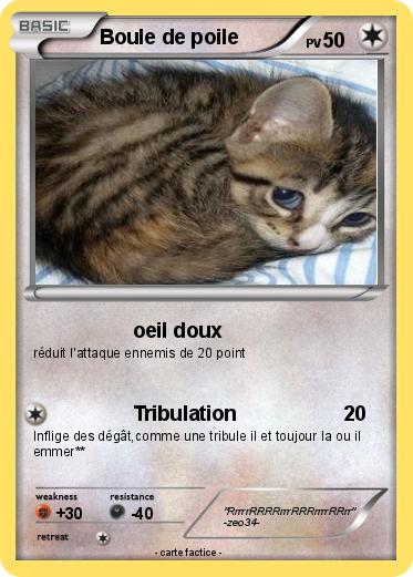 Pokemon Boule de poile