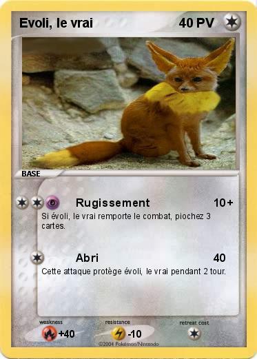 Pokemon Evoli, le vrai