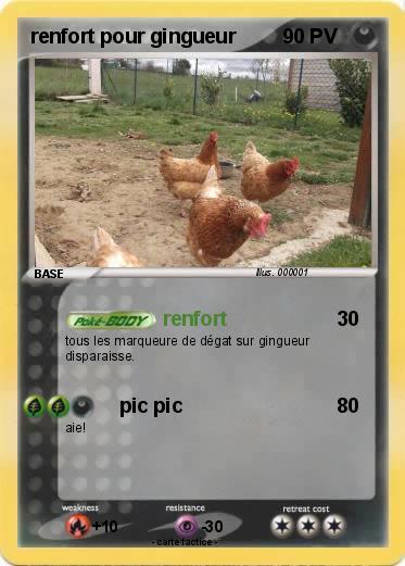 Pokemon renfort pour gingueur