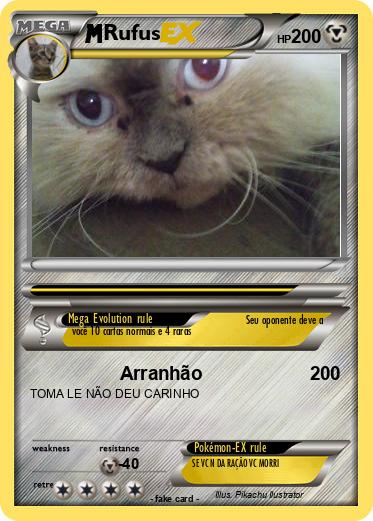 Pokemon Rufus