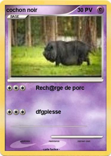 Pokemon cochon noir