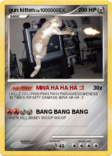 Pokemon gun kitten