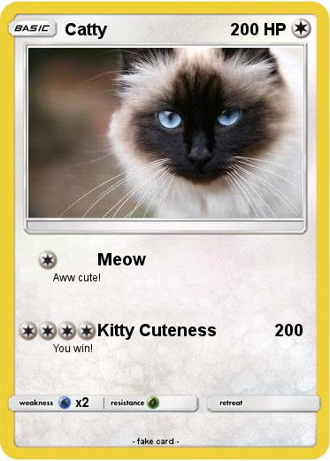 Pokemon Catty