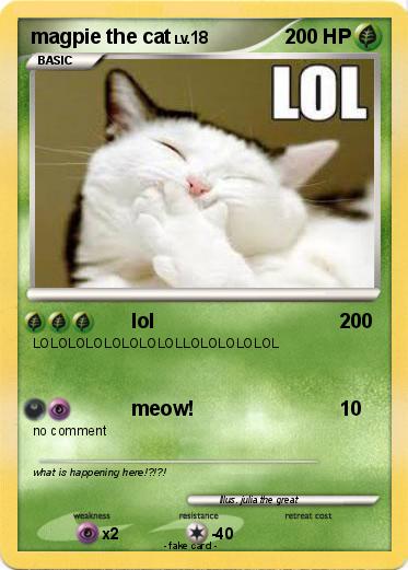 Pokemon magpie the cat