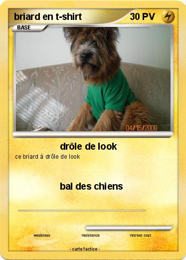 Pokemon briard en t-shirt