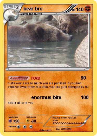 Pokemon bear bro