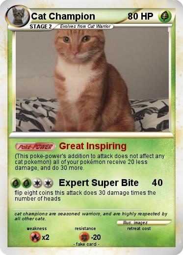 Pokemon Cat Champion