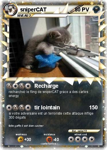 Pokemon sniperCAT