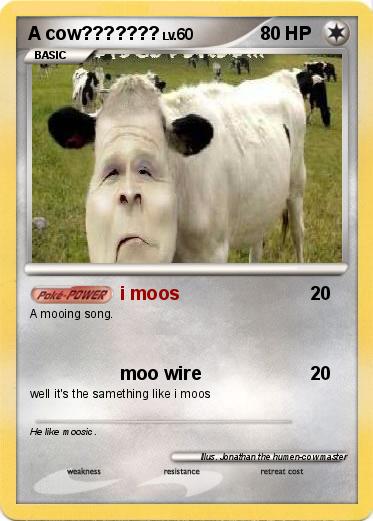 Pokemon A cow???????