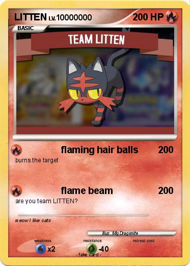 Pokemon LITTEN