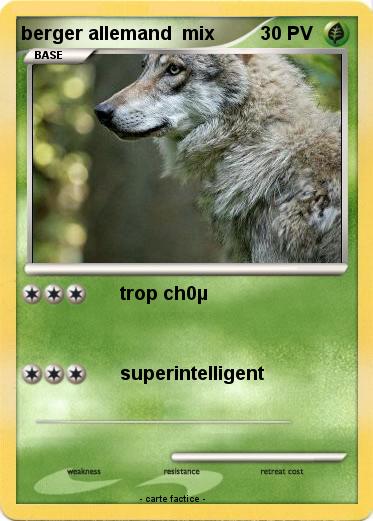 Pokemon berger allemand  mix