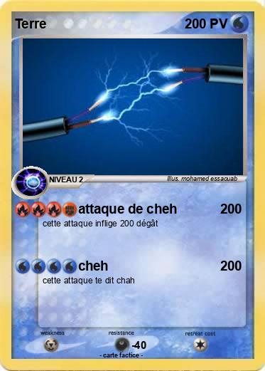 Pokemon Terre