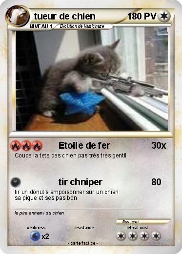 Pokemon tueur de chien