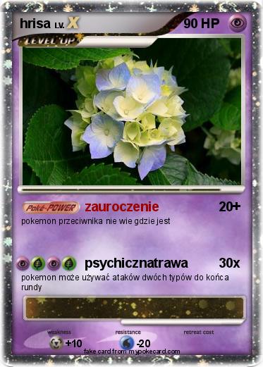 Pokemon hrisa