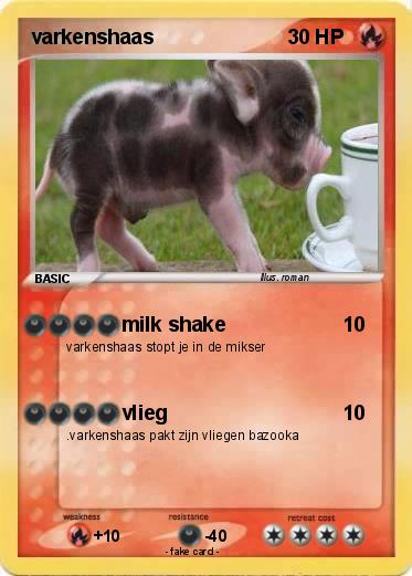 Pokemon varkenshaas