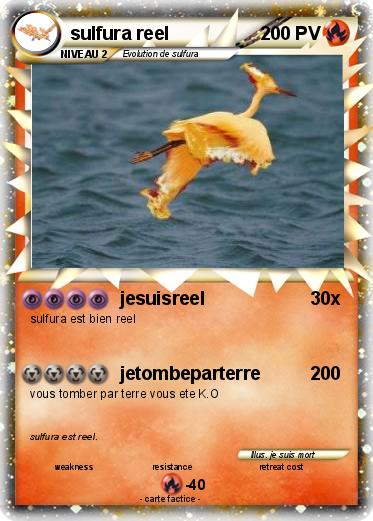 Pokemon sulfura reel