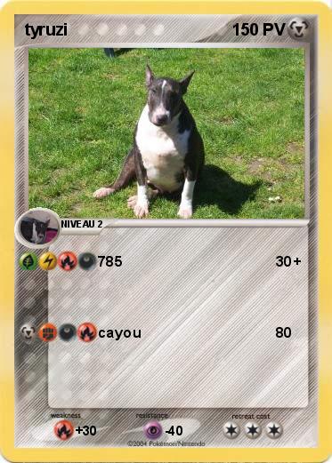 Pokemon tyruzi