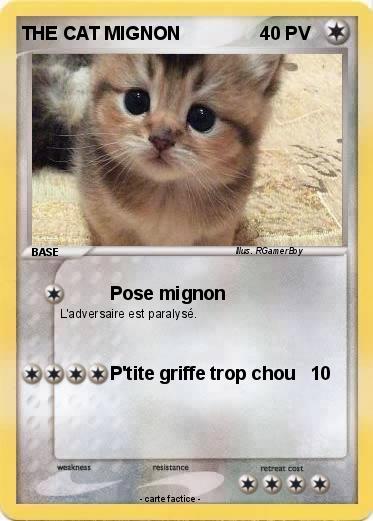 Pokemon THE CAT MIGNON