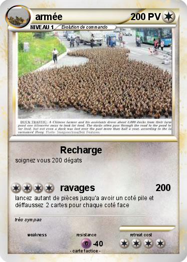 Pokemon armée