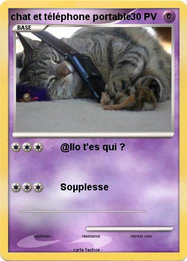 Pokemon chat et téléphone portable
