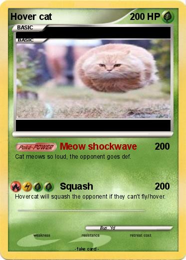 Pokemon Hover cat