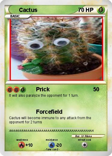 Pokemon Cactus