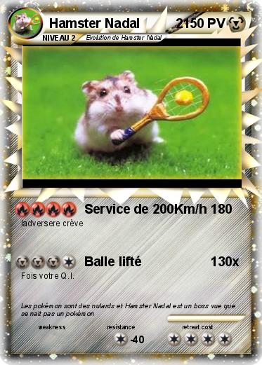 Pokemon Hamster Nadal          2